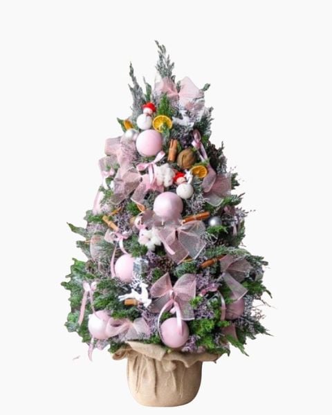 cay-thong-noel-holly-jolly-cedar-hgs10-giang-sinh-hanh-phuc