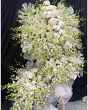  Suối Hoa Tiễn Biệt - HTL157 