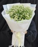  Bó Hoa Cúc Tana-HBD312 