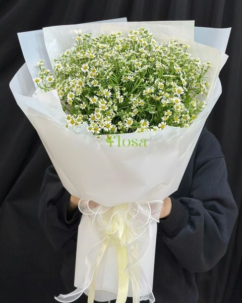 Mẫu Hoa Cúc:  Bó Hoa Cúc Tana-HBD312 