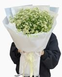  Bó Hoa Cúc Tana-HBD312 