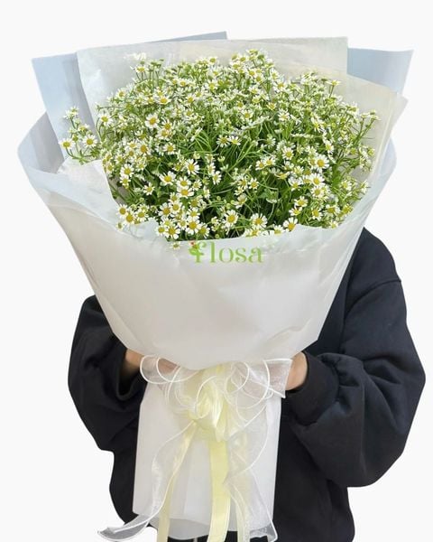 Mẫu Hoa Cúc:  Bó Hoa Cúc Tana-HBD312 