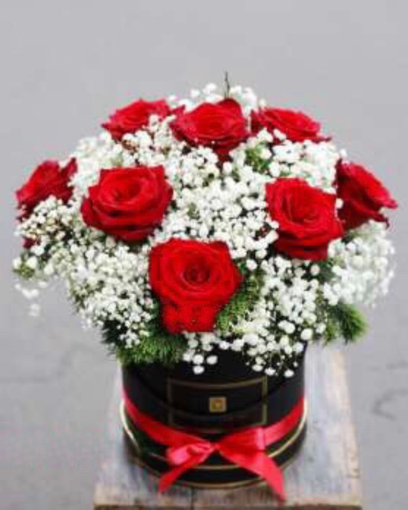  Rose Red White - HH12 