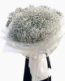  Baby's Breath - HBT25 - Hoa Sinh Nhật 