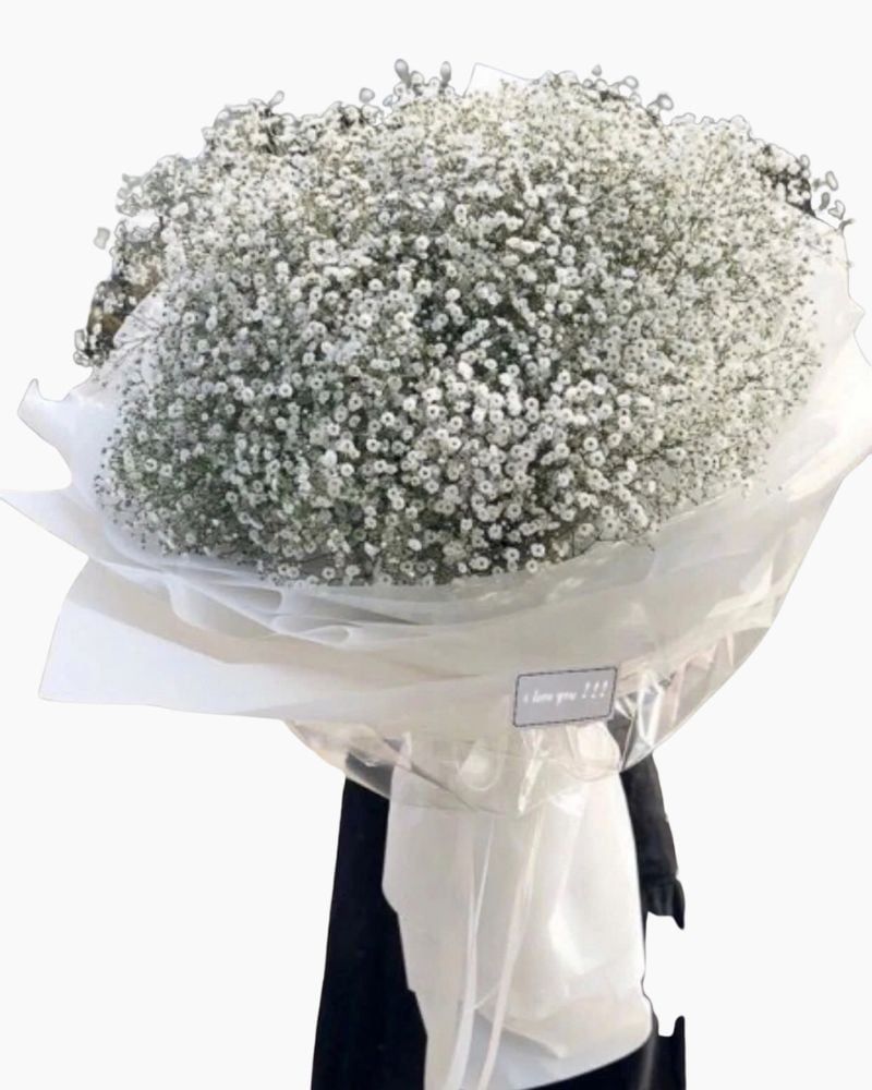  Baby's Breath - HBT25 - Hoa Sinh Nhật 