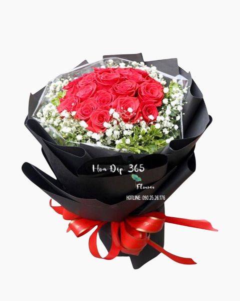 ben-em-hbt20-hoa-20-10