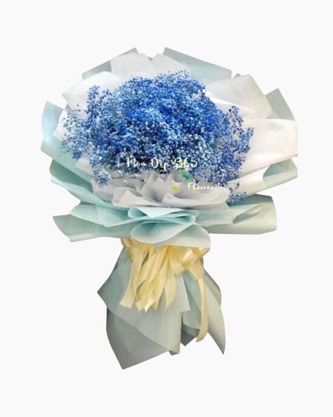 bien-rong-hbt77-hoa-20-10