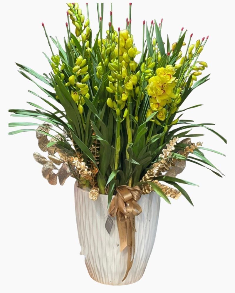  Bình Hoa Địa Lan - HCB61 - Hoa Tết Đẹp 