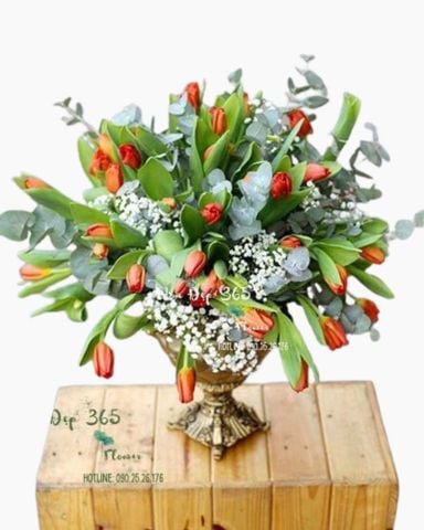 Hoa Tulip bộ sưu tập hoa tulip đẹp, sang trọng, tinh tế