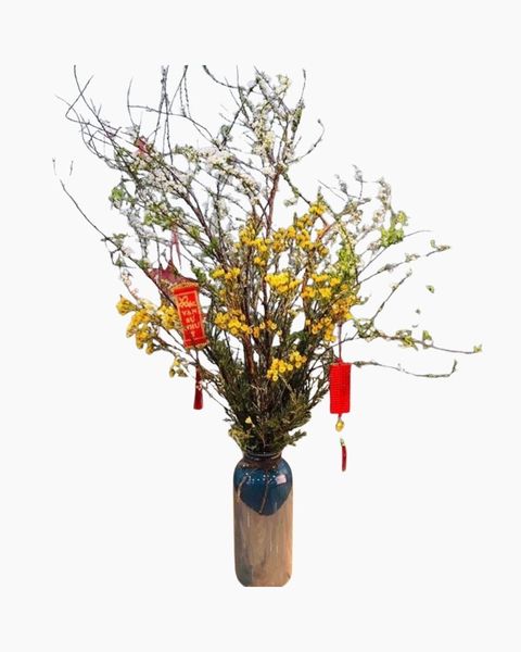 binh-hoa-tuyet-mai-mix-thanh-lieu-hcb56