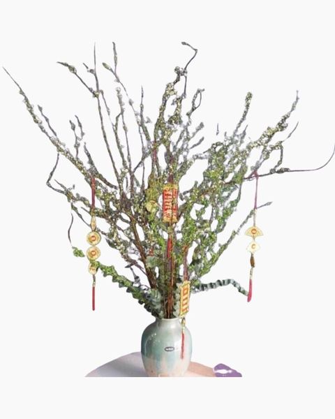 binh-tuyet-mai-tet-dong-day-hcb55