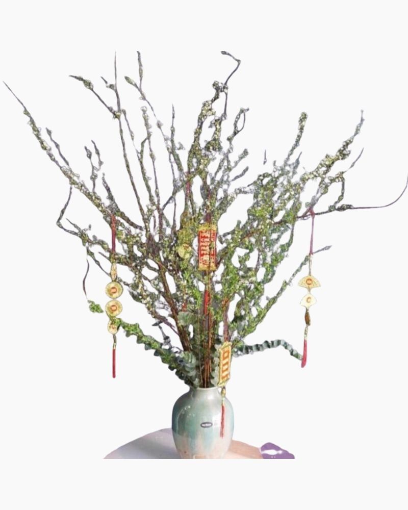  Bình Tuyết Mai Tết Đong Đầy - HCB55 - Hoa Chưng Tết Đẹp 