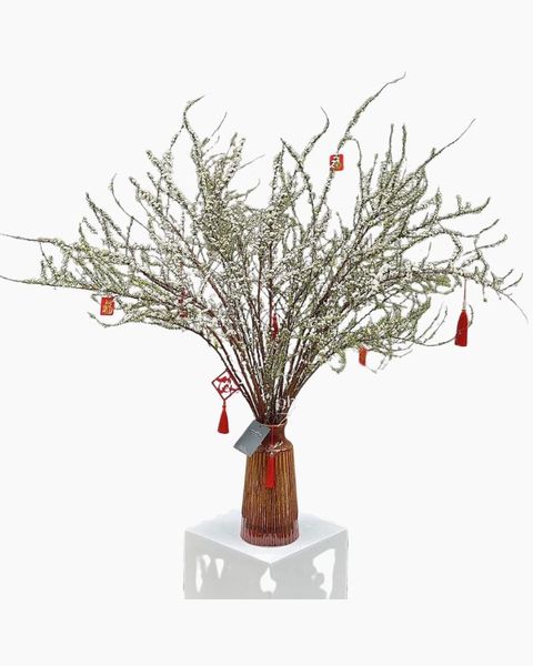 binh-tuyet-mai-trung-tet-hcb54