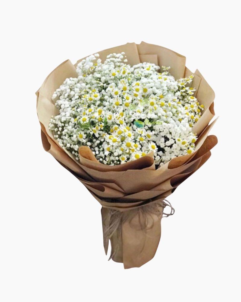  Bó Baby Mix Cúc Tana - Hoa tặng mẹ - HBT70 