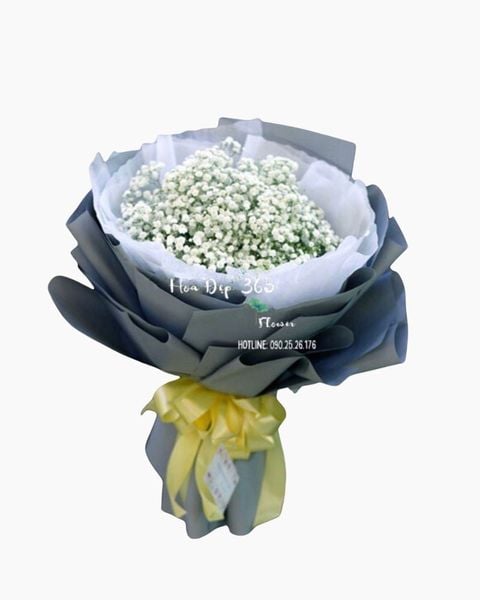 bo-baby-tinh-khiet-hbt26