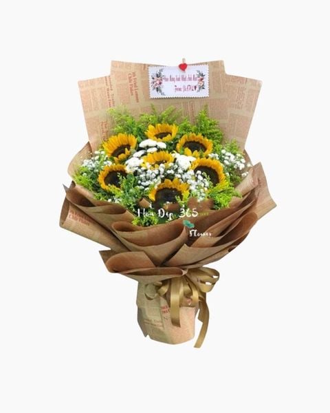 bo-hoa-anh-binh-minh-hbd144