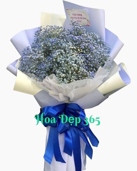 bo-hoa-babi-ha-lan-xanh-hb01