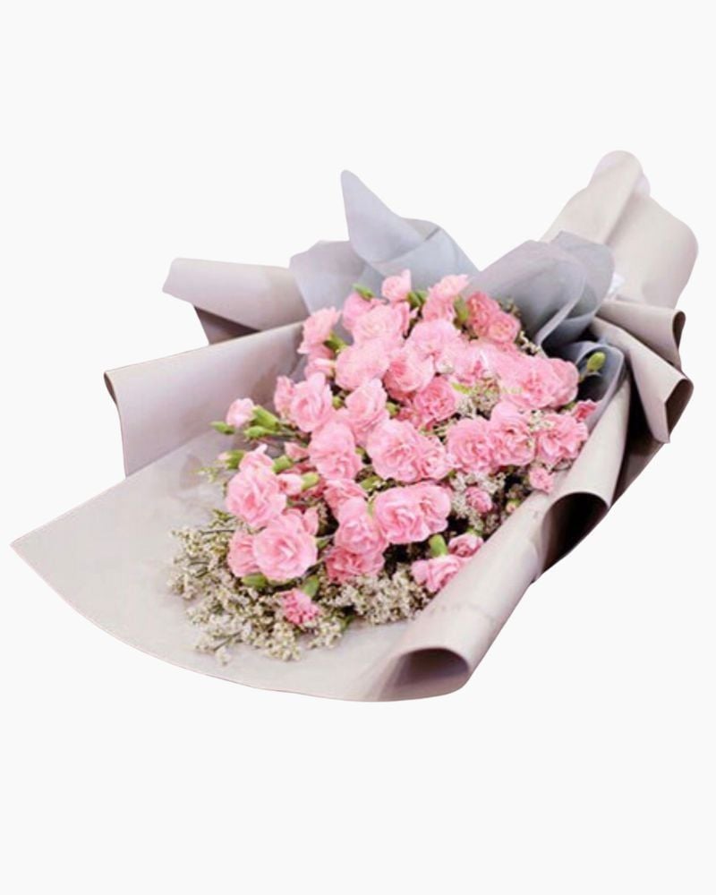  Bó Hoa Cẩm Chướng Hồng - HBD54 - Hoa Tặng Mẹ 