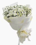  Bó Hoa Cúc Hoạ Mi - HBT52 - Hoa Tươi 