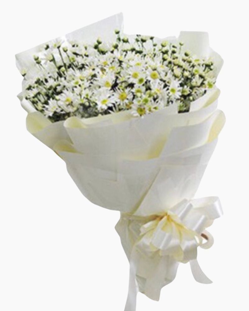  Bó Hoa Cúc Hoạ Mi - HBT52 - Hoa Tươi 