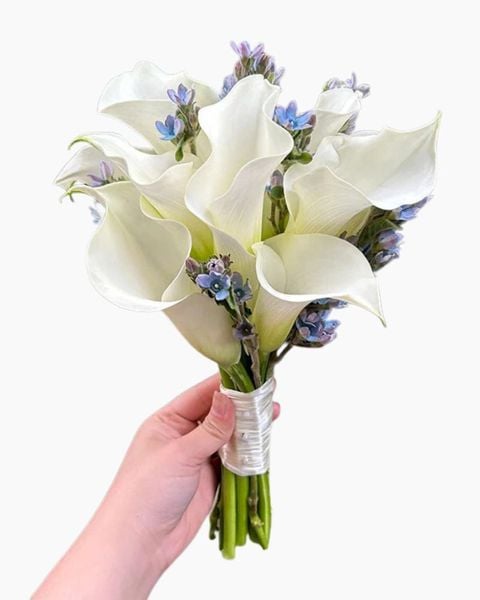 Mẫu Hoa Tươi Màu Trắng sang trọng, nhẹ nhàng, tinh khiết: bo-hoa-cuoi-cam-tay-whispers-of-the-heart-hc50