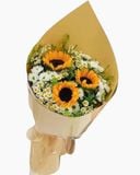  Bó Hoa Hướng Dương - HBD269 