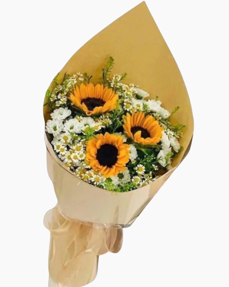  Bó Hoa Hướng Dương - HBD269 