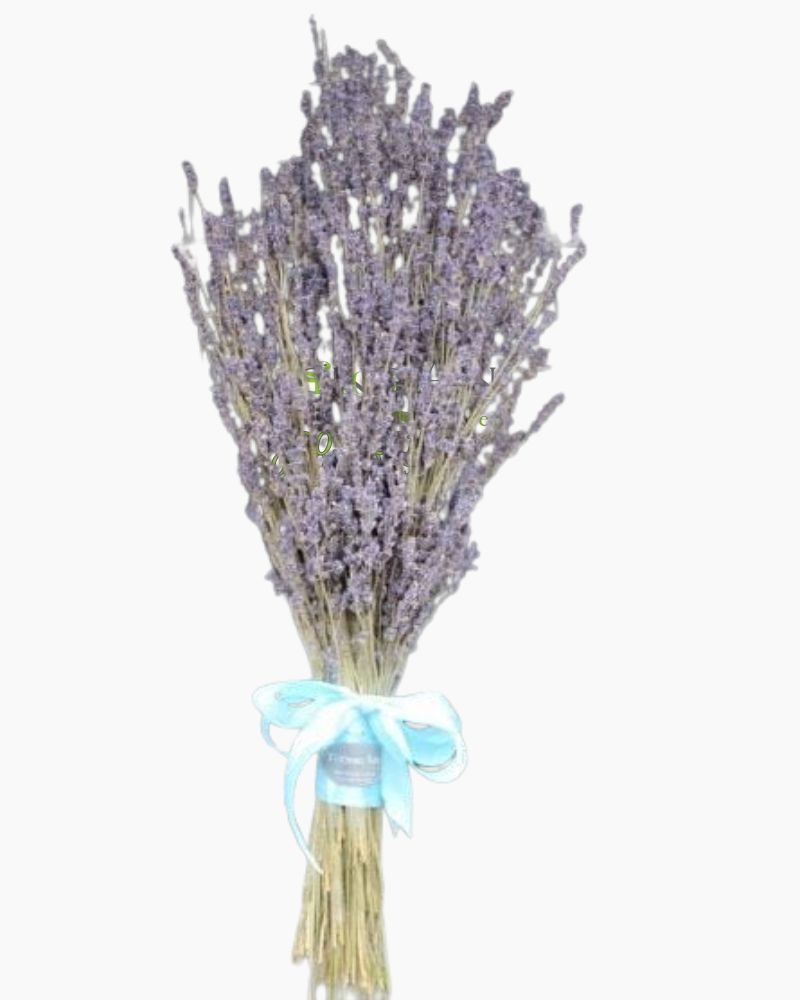  Bó Hoa Lavender Mộc Mạc - LVD04 - Điện Hoa 