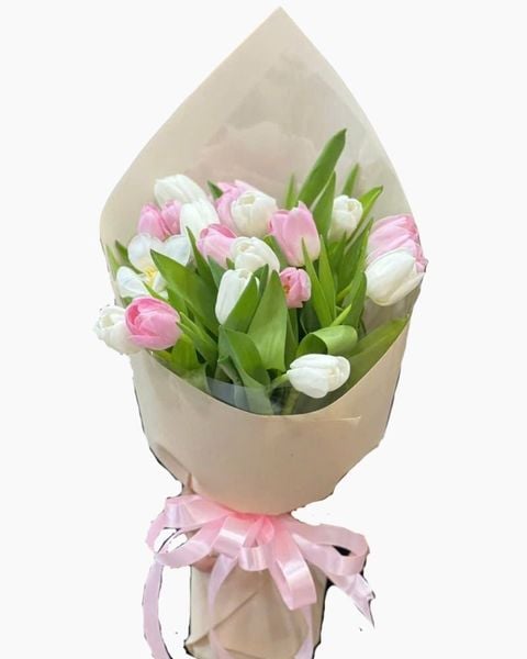 bo-hoa-tulip-nhe-nhu-may-hbd17