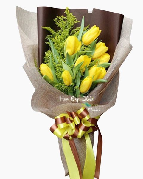 bo-hoa-tulip-vang-hbd62