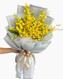  Bó Lan Vũ Nữ - HBD237 