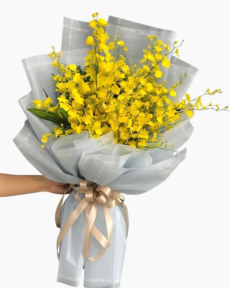  Bó Lan Vũ Nữ - HBD237 