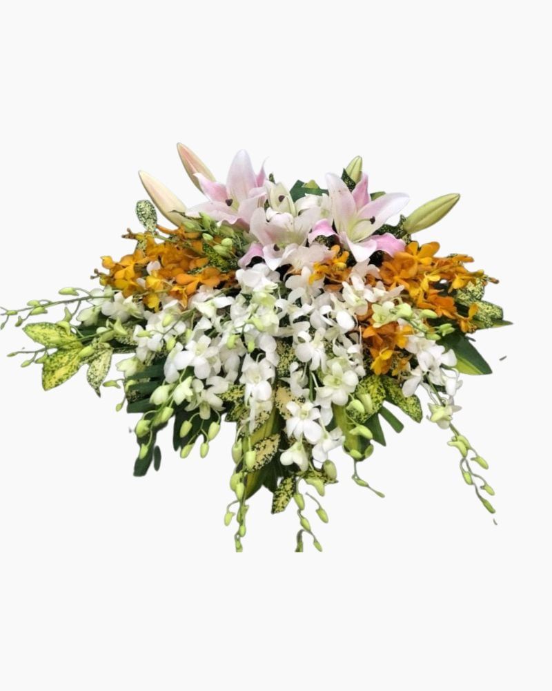  Bục Phát Biểu - 04 - Hoa 20/11 