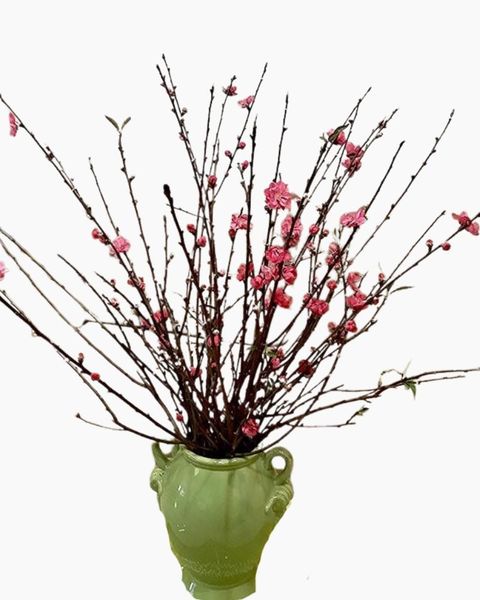 Cành Đào Bắc - Hoa Cắt Cành