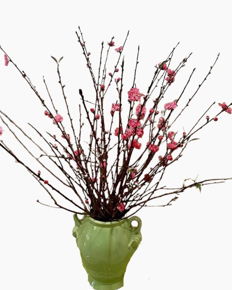 Cành Đào Bắc - Hoa Cắt Cành 
