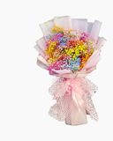  Cầu Vòng - HBD102 