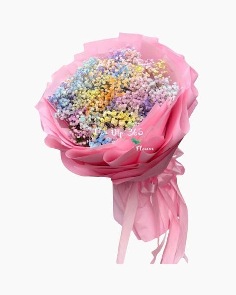 cau-vong-hbt75-hoa-20-10