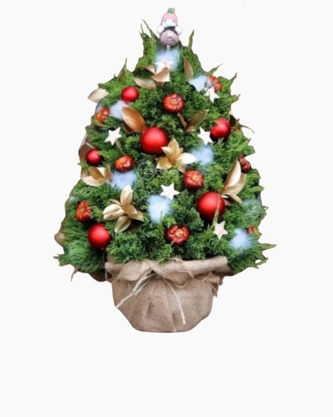 cay-thong-noel-joyful-pine-hgs08-giang-sinh-binh-an