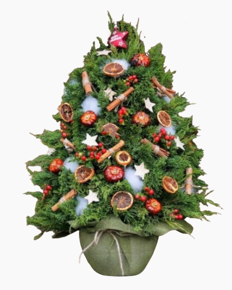  Cây Thông Noel Merry Spruce - HGS09 - Giáng Sinh An Lành 