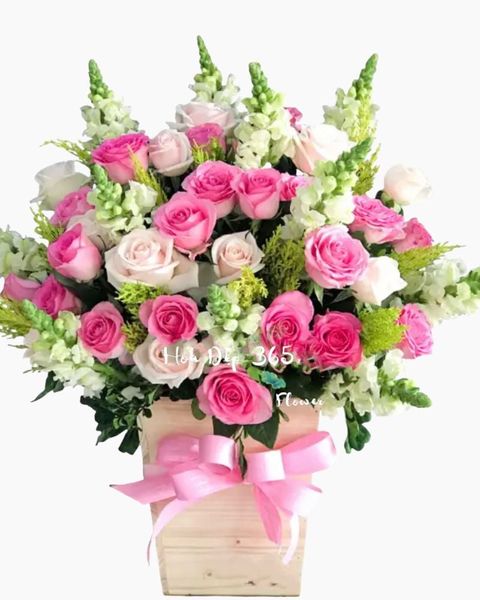 celerbrate-hch38-hoa-20-10