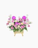  Hộp Hoa Vườn Xuân Dịu Dàng - Hoa 20/10 - HH57 