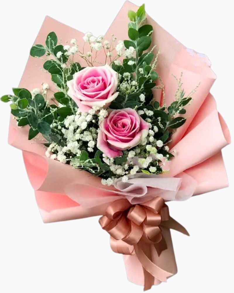  Chiều Hồng - HBD111 - Điện Hoa 