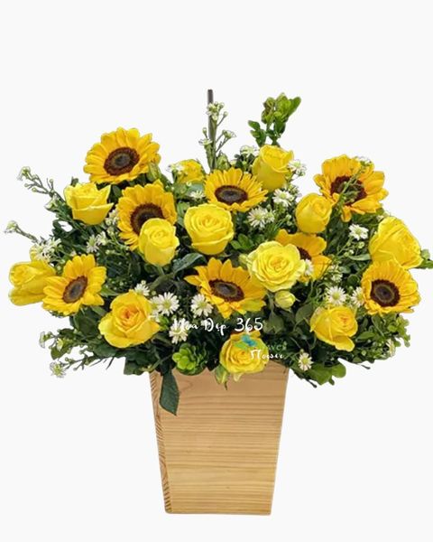 chuyen-tinh-ta-hch41