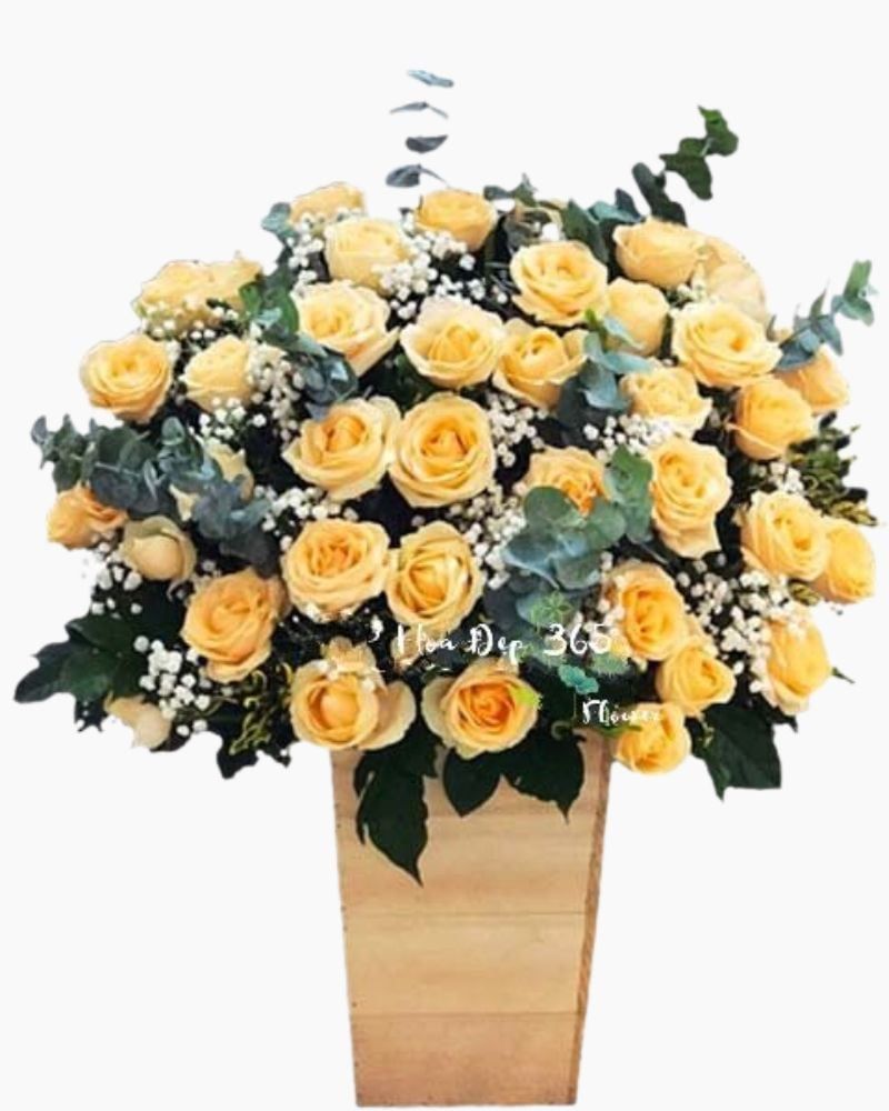  Dành Cho Em - HCH68 