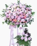  Kệ Hoa Danh Vọng - TH03 