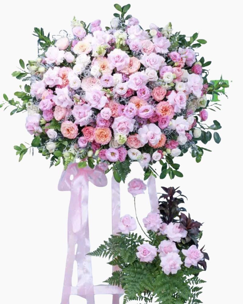  Kệ Hoa Danh Vọng - TH03 