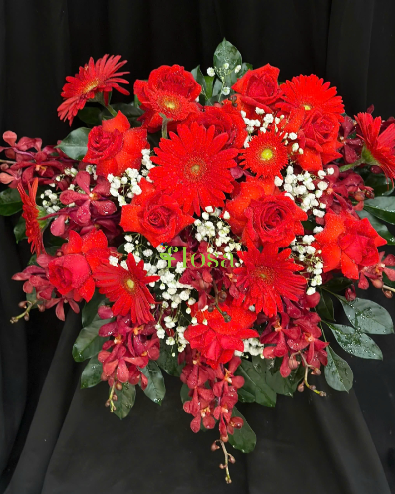  Sắc Đỏ Thăng Tiến  - BPB12 