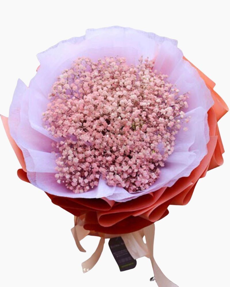  Dreamcatcher - HBT34 - Hoa 20/10 