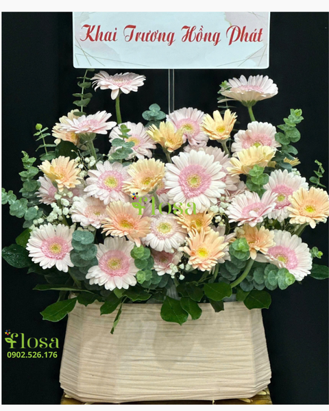 Giỏ Hoa Khai Trương để bàn đẹp: Giỏ Hoa Đằm Thắm - HG85