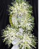  Đôi Cánh Hoa Tiễn Đưa  - HTL158 